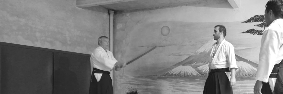 Aikido Grenoble aikishintaiso grenoble aïkido aïkishintaiso kobayashi ryu dojo art martial martiaux sensei Cognard